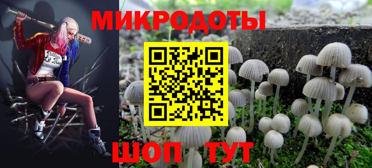 Псилоцибиновые грибы GOLDEN TEACHER  Вход с VPN  Псилоцибиновые грибы прущие грибы  Кропоткин 