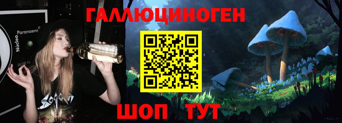 Галлюциногенные грибы Psilocybine cubensis Кропоткин